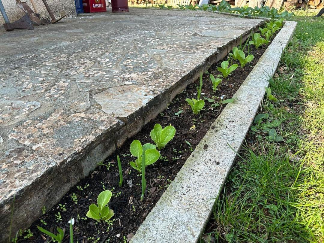Eleni Country Cottage 2 Φενεός Εξωτερικό φωτογραφία